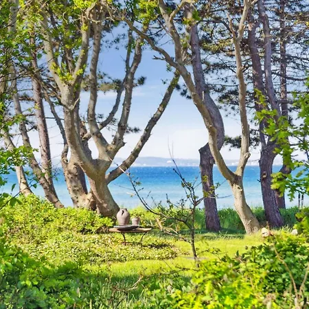 Dom wakacyjny Myriam - 50m From The Sea By Interhome *